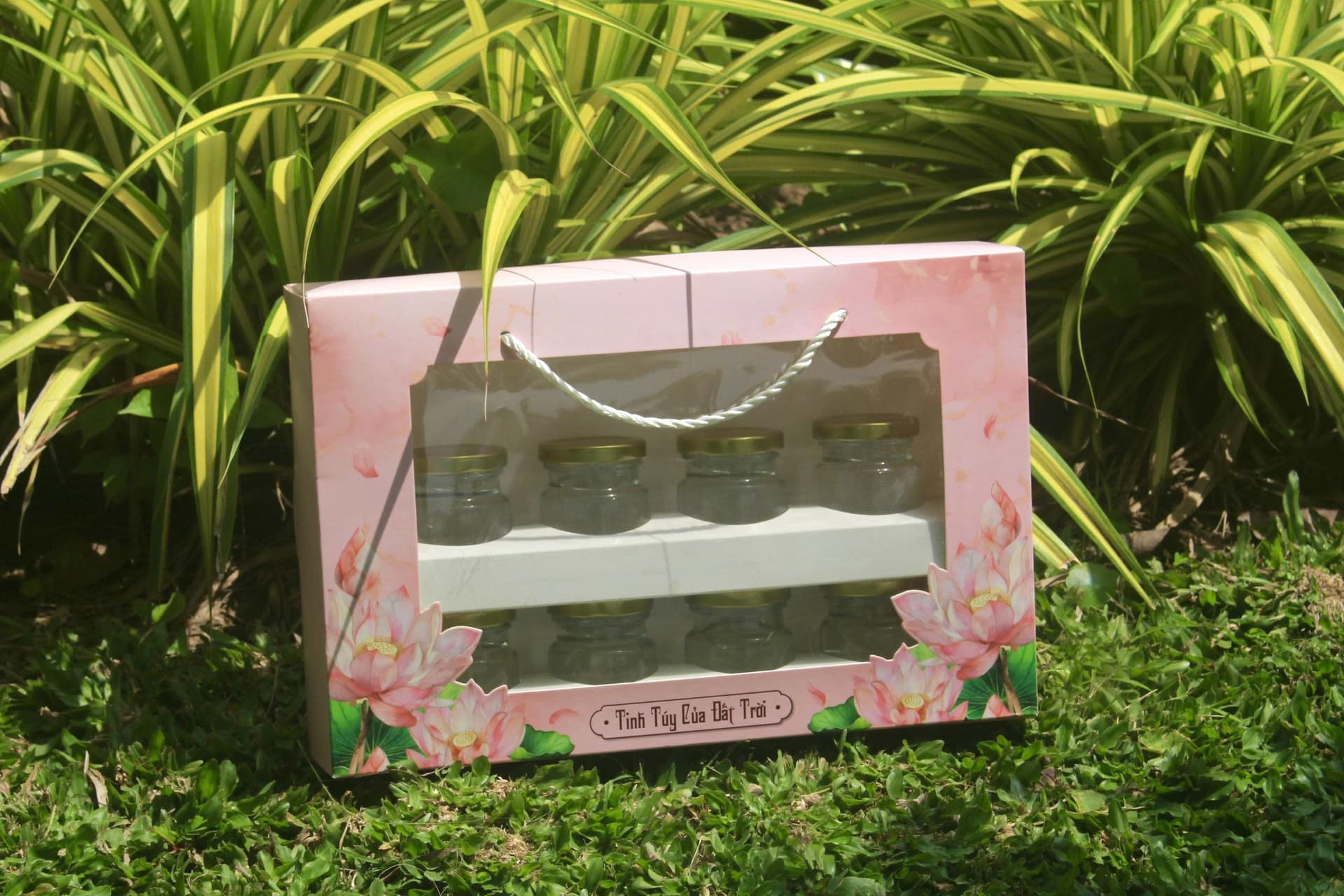 Hộp 2 tầng 330215 Mã 12 (Hình 1)
